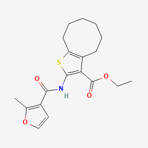 molecular formula C19H23NO4S B11589157 Ethyl 2-{[(2-methylfuran-3-yl)carbonyl]amino}-4,5,6,7,8,9-hexahydrocycloocta[b]thiophene-3-carboxylate 