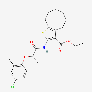 molecular formula C23H28ClNO4S B11599225 Ethyl 2-{[2-(4-chloro-2-methylphenoxy)propanoyl]amino}-4,5,6,7,8,9-hexahydrocycloocta[b]thiophene-3-carboxylate 