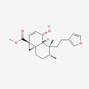 molecular formula C21H28O4 B1160333 Methyl dodonate A CAS No. 349534-70-9