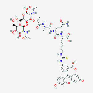molecular formula C54H68N8O22S B116063 Fluoresceinthiocarbamoyl-lys-gmdp CAS No. 143873-62-5