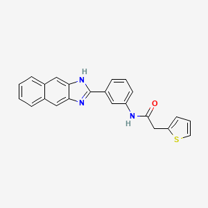 molecular formula C23H17N3OS B11615370 N-[3-(1H-Naphtho[2,3-d]imidazol-2-yl)-phenyl]-2-thiophen-2-yl-acetamide 