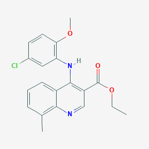 molecular formula C20H19ClN2O3 B11616043 Ethyl 4-[(5-chloro-2-methoxyphenyl)amino]-8-methylquinoline-3-carboxylate 