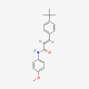 molecular formula C20H23NO2 B11616390 3-(4-tert-Butylphenyl)-N-(4-methoxyphenyl)acrylamide 