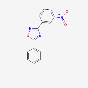 molecular formula C18H17N3O3 B11617217 1,2,4-Oxadiazole, 5-[4-(1,1-dimethylethyl)phenyl]-3-(3-nitrophenyl)- CAS No. 6147-13-3