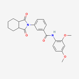 molecular formula C23H24N2O5 B11617728 N-(2,4-dimethoxyphenyl)-3-(1,3-dioxooctahydro-2H-isoindol-2-yl)benzamide 