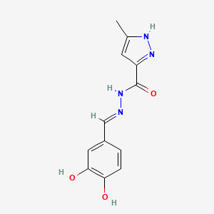 molecular formula C12H12N4O3 B11618821 N'-[(E)-(3,4-dihydroxyphenyl)methylidene]-3-methyl-1H-pyrazole-5-carbohydrazide 