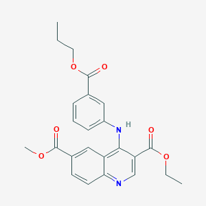 molecular formula C24H24N2O6 B11620006 3-Ethyl 6-methyl 4-{[3-(propoxycarbonyl)phenyl]amino}quinoline-3,6-dicarboxylate 