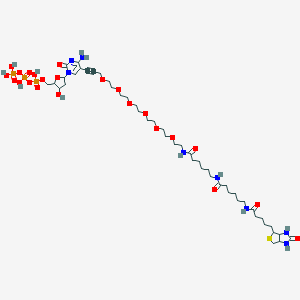 molecular formula C46H79N8O23P3S B116311 Biotin-36-dctp CAS No. 145396-05-0