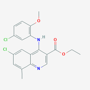 molecular formula C20H18Cl2N2O3 B11632242 Ethyl 6-chloro-4-[(5-chloro-2-methoxyphenyl)amino]-8-methylquinoline-3-carboxylate 