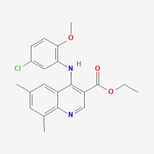 molecular formula C21H21ClN2O3 B11635210 Ethyl 4-[(5-chloro-2-methoxyphenyl)amino]-6,8-dimethylquinoline-3-carboxylate 