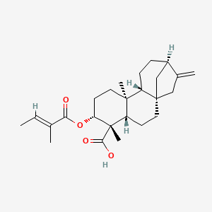molecular formula C25H36O4 B1164376 ent-3Beta-Tigloyloxykaur-16-en-19-oic acid 