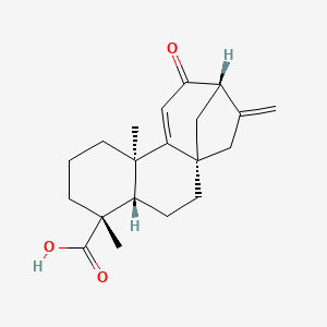 molecular formula C20H26O3 B1164464 12-Oxograndiflorenic acid 