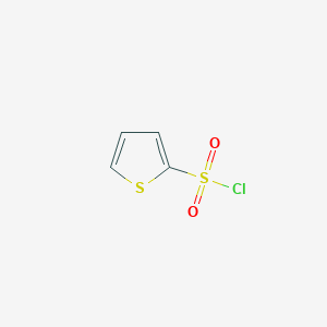 molecular formula C4H3ClO2S2 B116581 2-Thiophenesulfonyl chloride CAS No. 16629-19-9