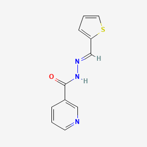 molecular formula C11H9N3OS B11662524 N'-[(E)-2-thienylmethylidene]nicotinohydrazide 