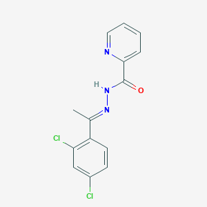 molecular formula C14H11Cl2N3O B11665039 N'-[(1E)-1-(2,4-dichlorophenyl)ethylidene]pyridine-2-carbohydrazide 