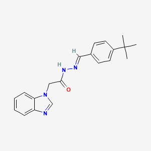 molecular formula C20H22N4O B11671077 2-(1H-benzimidazol-1-yl)-N'-[(E)-(4-tert-butylphenyl)methylidene]acetohydrazide 