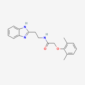 molecular formula C19H21N3O2 B11684626 N-[2-(1H-benzimidazol-2-yl)ethyl]-2-(2,6-dimethylphenoxy)acetamide 