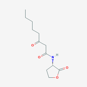 molecular formula C12H19NO4 B117115 3-Oxo-octanoic acid (2-oxo-tetrahydro-furan-3-YL)-amide CAS No. 147795-39-9