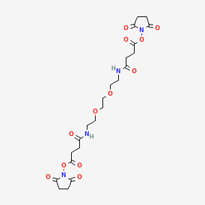 (2,5-dioxopyrrolidin-1-yl) 4-[2-[2-[2-[[4-(2,5-dioxopyrrolidin-1-yl)oxy-4-oxobutanoyl]amino]ethoxy]ethoxy]ethylamino]-4-oxobutanoate