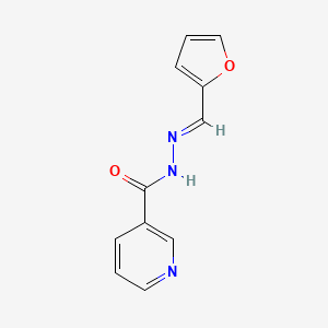 molecular formula C11H9N3O2 B11716846 Furfural nicotinoylhydrazone CAS No. 1208157-00-9