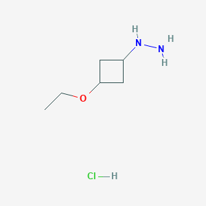 molecular formula C6H15ClN2O B11720123 (3-Ethoxycyclobutyl)hydrazine hydrochloride 