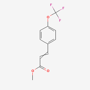 molecular formula C11H9F3O3 B11720788 Methyl 3-[4-(trifluoromethoxy)phenyl]prop-2-enoate 