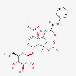 molecular formula C28H34O14 B1174397 6-O-trans-Cinnamoylphlorigidoside B CAS No. 1246012-25-8