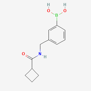 molecular formula C12H16BNO3 B11751019 (3-(Cyclobutanecarboxamidomethyl)phenyl)boronic acid 