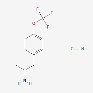 molecular formula C10H13ClF3NO B11751220 1-[4-(Trifluoromethoxy)phenyl]propan-2-amine hydrochloride 