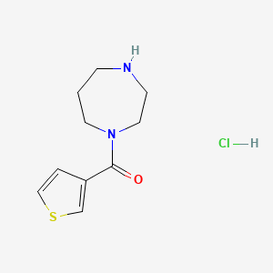 molecular formula C10H15ClN2OS B11751522 1-[(Thiophen-3-yl)carbonyl]-1,4-diazepane hydrochloride 