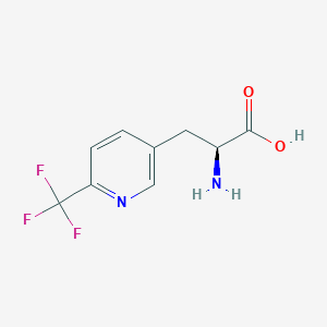 molecular formula C9H9F3N2O2 B11753105 (S)-2-Amino-3-(6-(trifluoromethyl)pyridin-3-yl)propanoic acid 