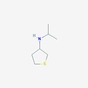 molecular formula C7H15NS B11755074 N-Isopropyltetrahydrothiophen-3-amine 
