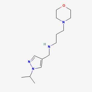 molecular formula C14H26N4O B11755123 [3-(morpholin-4-yl)propyl]({[1-(propan-2-yl)-1H-pyrazol-4-yl]methyl})amine 
