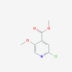 molecular formula C8H8ClNO3 B11756568 Methyl 2-chloro-5-methoxyisonicotinate 