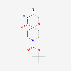 molecular formula C14H24N2O4 B11761733 tert-Butyl (R)-3-methyl-5-oxo-1-oxa-4,9-diazaspiro[5.5]undecane-9-carboxylate 