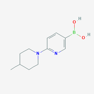 molecular formula C11H17BN2O2 B11765056 2-(4-Methylpiperidin-1-yl)pyridine-5-boronic acid 