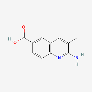 molecular formula C11H10N2O2 B11765740 2-Amino-3-methylquinoline-6-carboxylic acid 