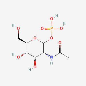 molecular formula C8H16NO9P B11766456 N-Acetylglucosamine-1-phosphate CAS No. 6866-69-9