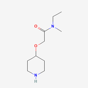 molecular formula C10H20N2O2 B11767604 N-Ethyl-N-methyl-2-(piperidin-4-yloxy)acetamide CAS No. 902836-87-7