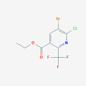 molecular formula C9H6BrClF3NO2 B11775350 Ethyl 5-bromo-6-chloro-2-(trifluoromethyl)nicotinate 