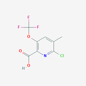 molecular formula C8H5ClF3NO3 B11778549 6-Chloro-5-methyl-3-(trifluoromethoxy)picolinic acid 