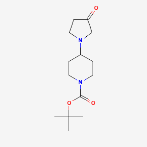 molecular formula C14H24N2O3 B11778613 Tert-butyl 4-(3-oxopyrrolidin-1-YL)piperidine-1-carboxylate 