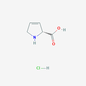 molecular formula C5H8ClNO2 B11783559 (R)-2,5-Dihydro-1H-pyrrole-2-carboxylic acid hydrochloride 