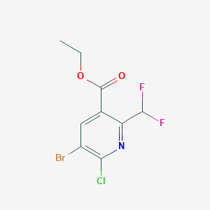 molecular formula C9H7BrClF2NO2 B11795168 Ethyl 5-bromo-6-chloro-2-(difluoromethyl)nicotinate 