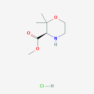 molecular formula C8H16ClNO3 B11796245 (R)-Methyl 2,2-dimethylmorpholine-3-carboxylate hydrochloride 