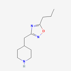molecular formula C11H19N3O B11796908 3-(Piperidin-4-ylmethyl)-5-propyl-1,2,4-oxadiazole 