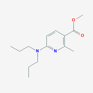 molecular formula C14H22N2O2 B11801760 Methyl 6-(dipropylamino)-2-methylnicotinate 