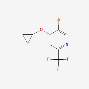 molecular formula C9H7BrF3NO B11805758 5-Bromo-4-cyclopropoxy-2-(trifluoromethyl)pyridine 