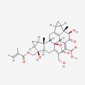 molecular formula C36H42O10 B1180583 Shizukaol C 