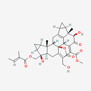 molecular formula C36H42O10 B1180583 Shizukaol C CAS No. 142279-41-2